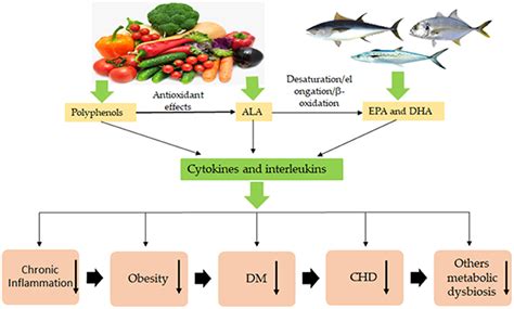 omega 3 with polyphenols.